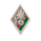 Insigne du 4° Régiment étranger